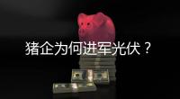 猪企为何进军光伏�？
