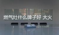 燃气灶什么牌子好 大火力不再是唯一标准