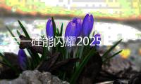 三一硅能闪耀2025 SNEC展，智能微网成焦点
！