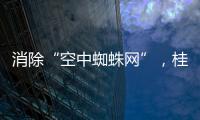 消除“空中蜘蛛网”�，桂山镇整治“头顶难题”见成效