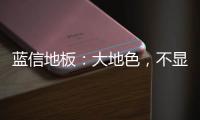 蓝信地板：大地色，不显眼，却很高级