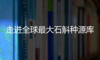 走进全球最大石斛种源库	：探索野生石斛种质资源异地保护