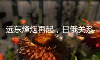 远东烽烟再起
，日俄关系为何再度紧张？丨智库视点